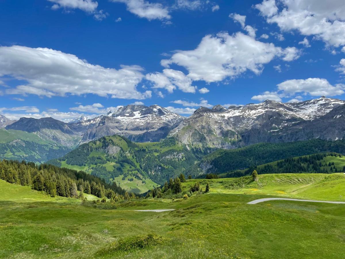 Apartment Résidence Sonnegg - Reimers - Vogel Zweisimmen Esterno foto